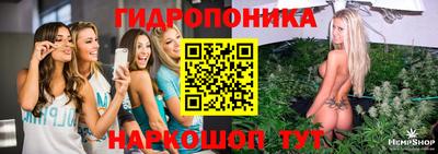 mdpv Рыбинск